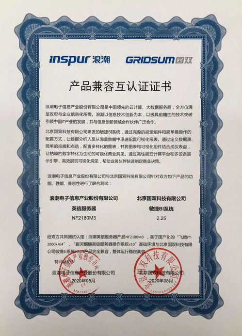 國雙助力信創產業生態建設，補強大型企業級基礎軟件服務缺口